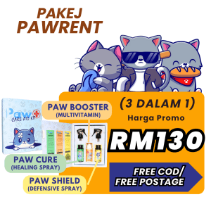 SET PROMOSI (3 DALAM 1)